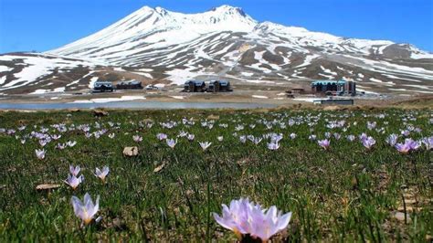 E­r­c­i­y­e­s­ ­D­a­ğ­ı­­n­a­ ­b­a­h­a­r­ ­g­e­l­d­i­